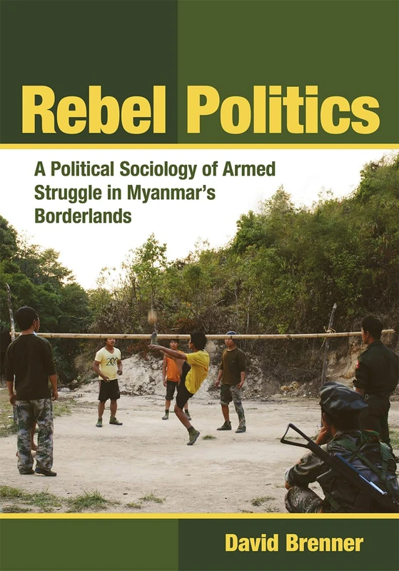 Rebel Politics: A Political Sociology of Armed Struggle in Myanmar's Borderlands (Southeast Asia Program)