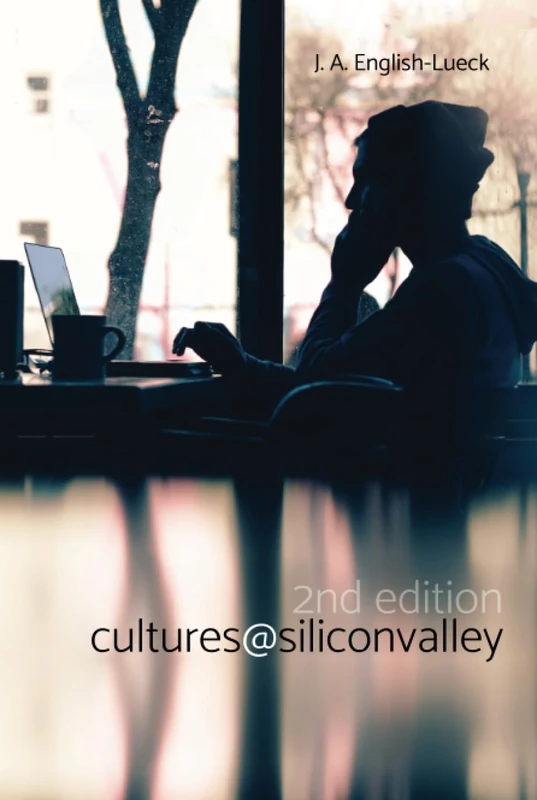 Cultures@SiliconValley: Second Edition