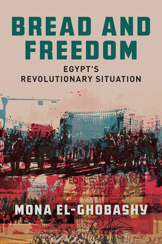 Bread and Freedom: Egypt's Revolutionary Situation (Stanford Studies in Middle Eastern and Islamic Societies and Cultures)