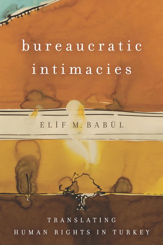 Bureaucratic Intimacies: Translating Human Rights in Turkey (Stanford Studies in Middle Eastern and Islamic Societies and Cultures)