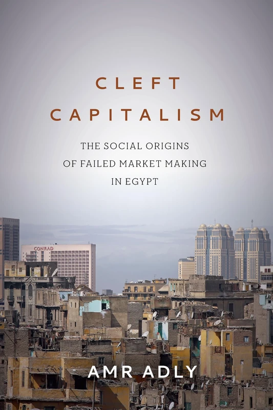 Cleft Capitalism: The Social Origins of Failed Market Making in Egypt (Stanford Studies in Middle Eastern and Islamic Societies and Cultures)