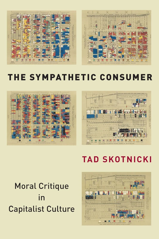 The Sympathetic Consumer: Moral Critique in Capitalist Culture (Culture and Economic Life) - Image 1