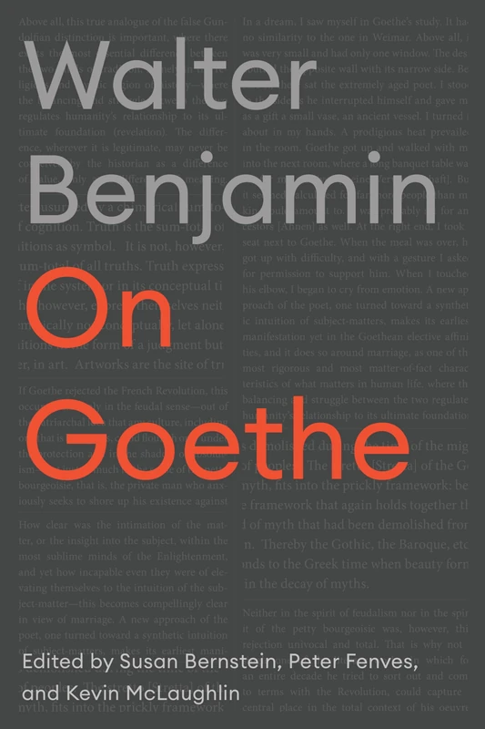 On Goethe (Cultural Memory in the Present)