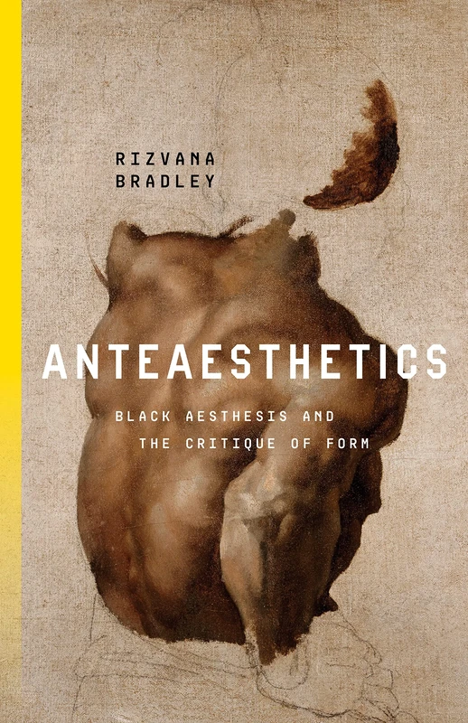 Anteaesthetics: Black Aesthesis and the Critique of Form (Inventions: Black Philosophy, Politics, Aesthetics) - Image 1