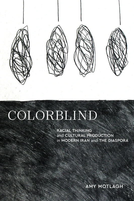 Colorblind: Racial Thinking and Cultural Production in Modern Iran and the Diaspora (Stanford Studies in Middle Eastern and Islamic Societies and Cultures)