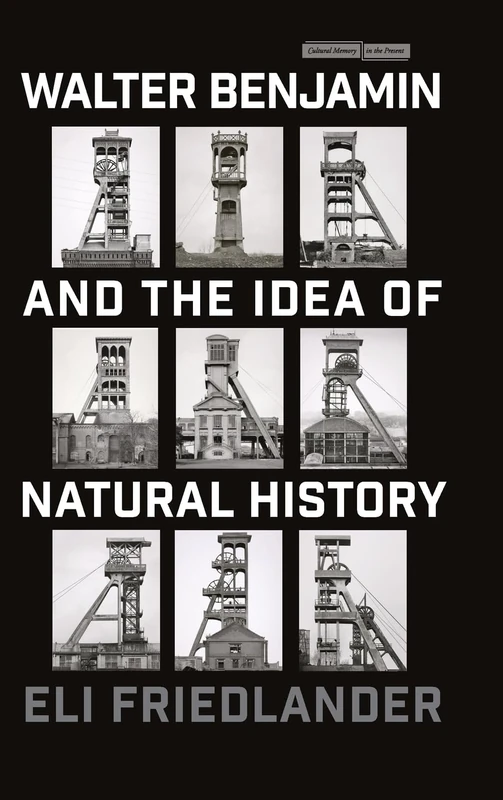 Walter Benjamin and the Idea of Natural History (Cultural Memory in the Present)