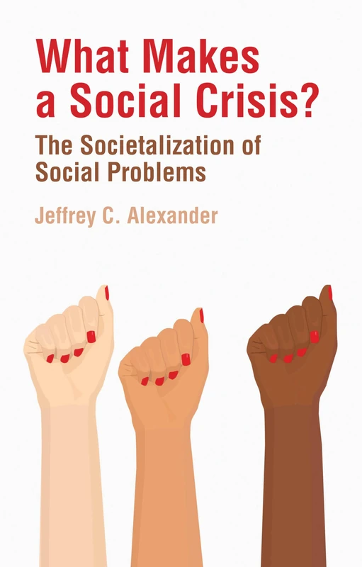 Polity - What Makes a Social Crisis? - Sociology Book - Image 1