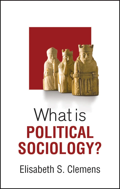 What is Political Sociology? (What is Sociology?)