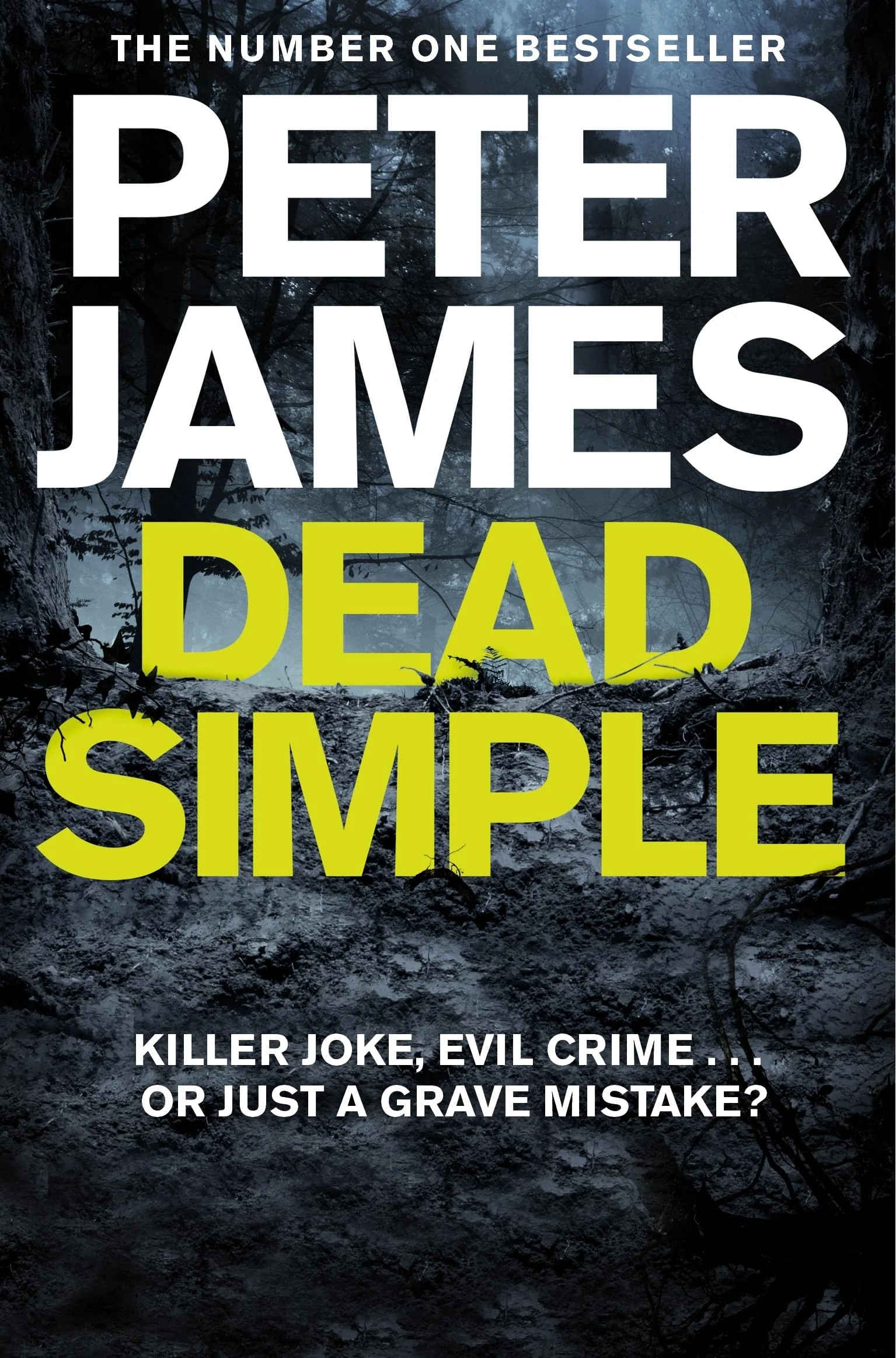 Dead Simple: Meet Roy Grace in This Pulse-Pounding Crime Thriller from the Multimillion-Copy Bestselling Author: 1 (Roy Grace, 1)