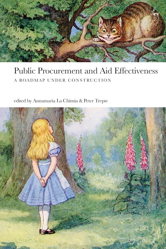 Public Procurement and Aid Effectiveness: A Roadmap under Construction