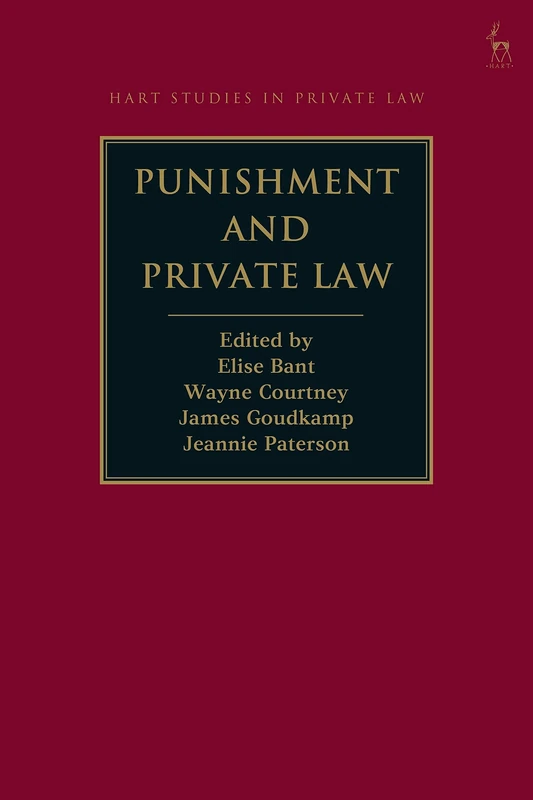 Punishment and Private Law (Hart Studies in Private Law)