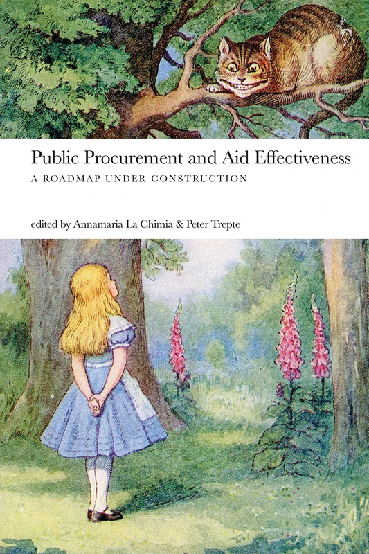 Public Procurement and Aid Effectiveness: A Roadmap under Construction - Image 1