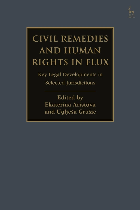 Civil Remedies and Human Rights in Flux: Key Legal Developments in Selected Jurisdictions
