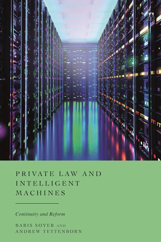Private Law and Intelligent Machines: Continuity and Reform