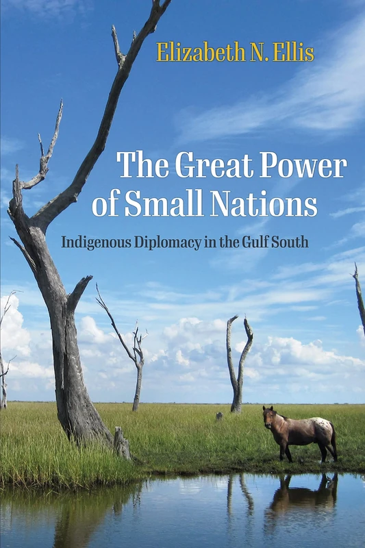 The Great Power of Small Nations: Indigenous Diplomacy in the Gulf South (Early American Studies) - Image 1