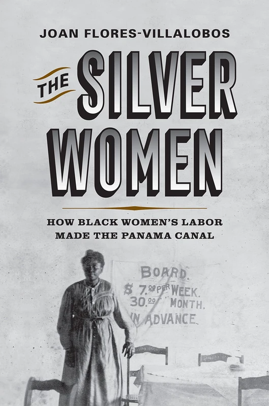 The Silver Women: How Black Women’s Labor Made the Panama Canal (Politics and Culture in Modern America) - Image 1