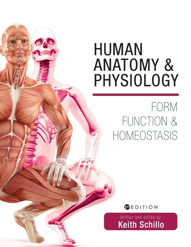 Human Anatomy and Physiology: Form, Function, and Homeostasis