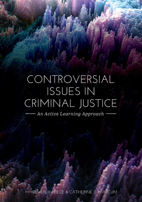 Controversial Issues in Criminal Justice: An Active Learning Approach