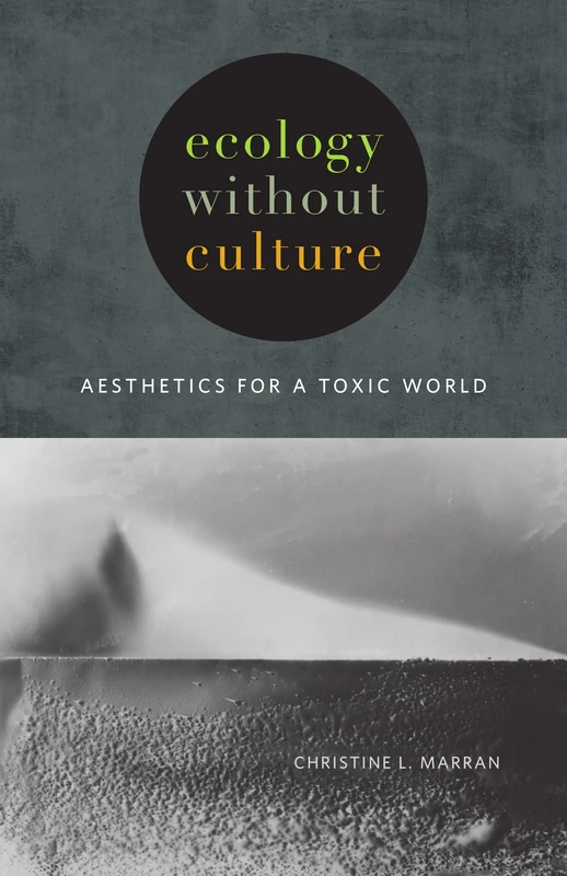 Ecology without Culture: Aesthetics for a Toxic World - Image 1