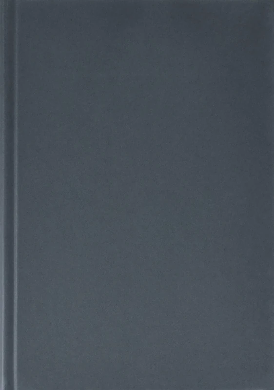 Robert Heinecken and the Art of Appropriation