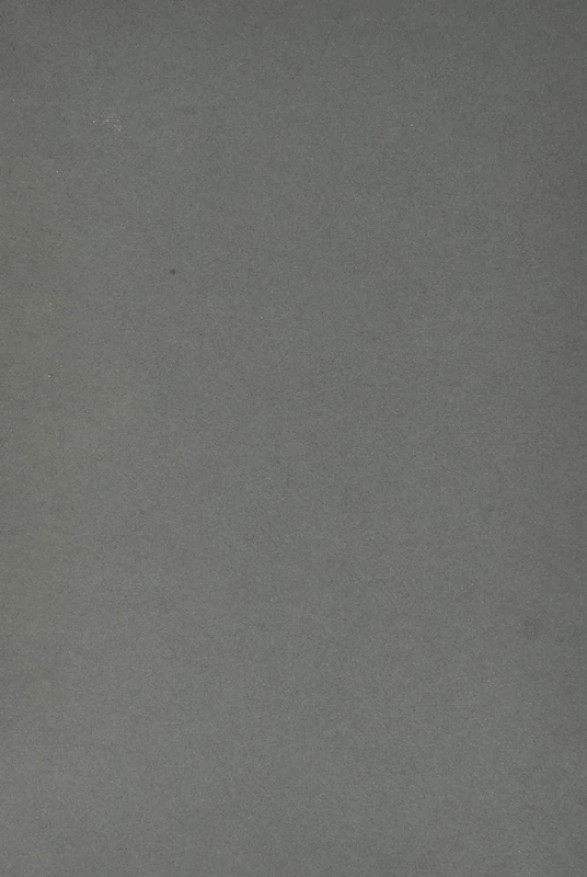 Red Gold: The Managed Extinction of the Giant Bluefin Tuna