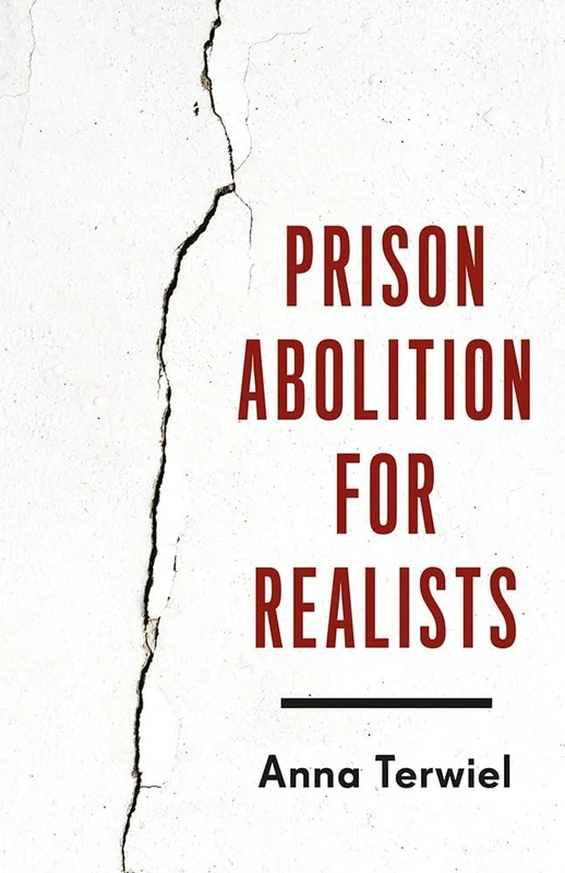 Prison Abolition for Realists