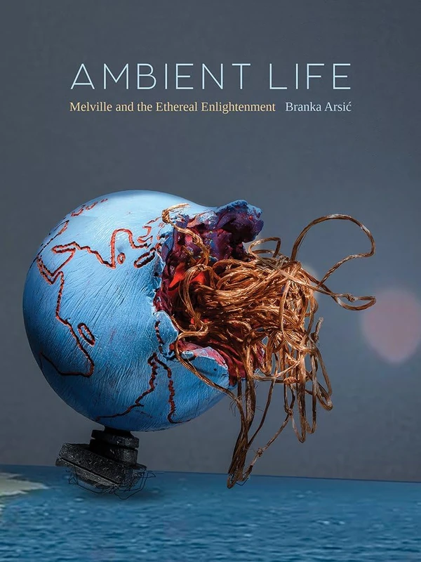Ambient Life Volume 80: Melville and the Ethereal Enlightenment (Posthumanities)