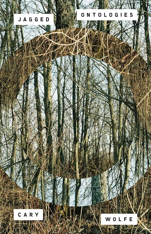 Jagged Ontologies: Volume 81 (Posthumanities)