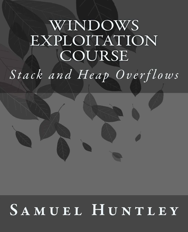 Windows Exploitation Course: Stack and Heap Overflows