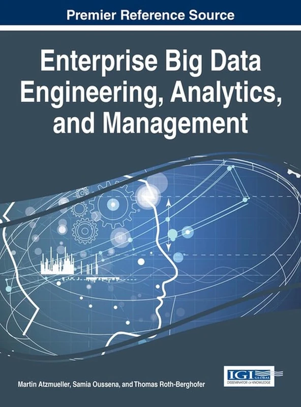 Enterprise Big Data Engineering, Analytics, and Management (Advances in Business Information Systems and Analytics)