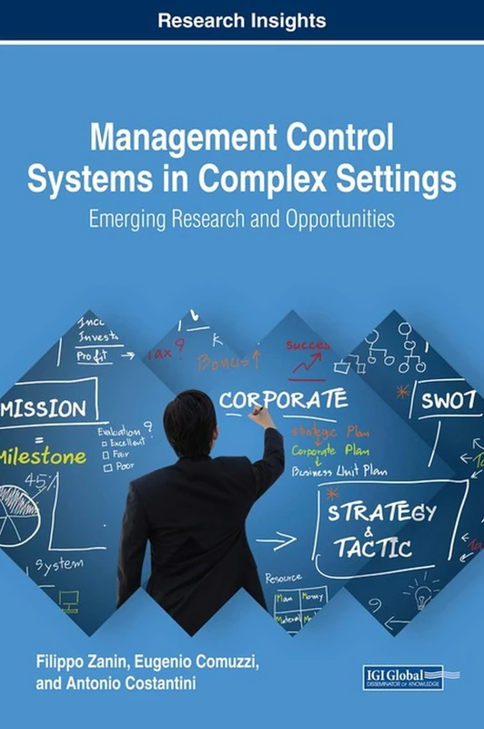 IGI Global Management Control Systems in Complex Settings Book