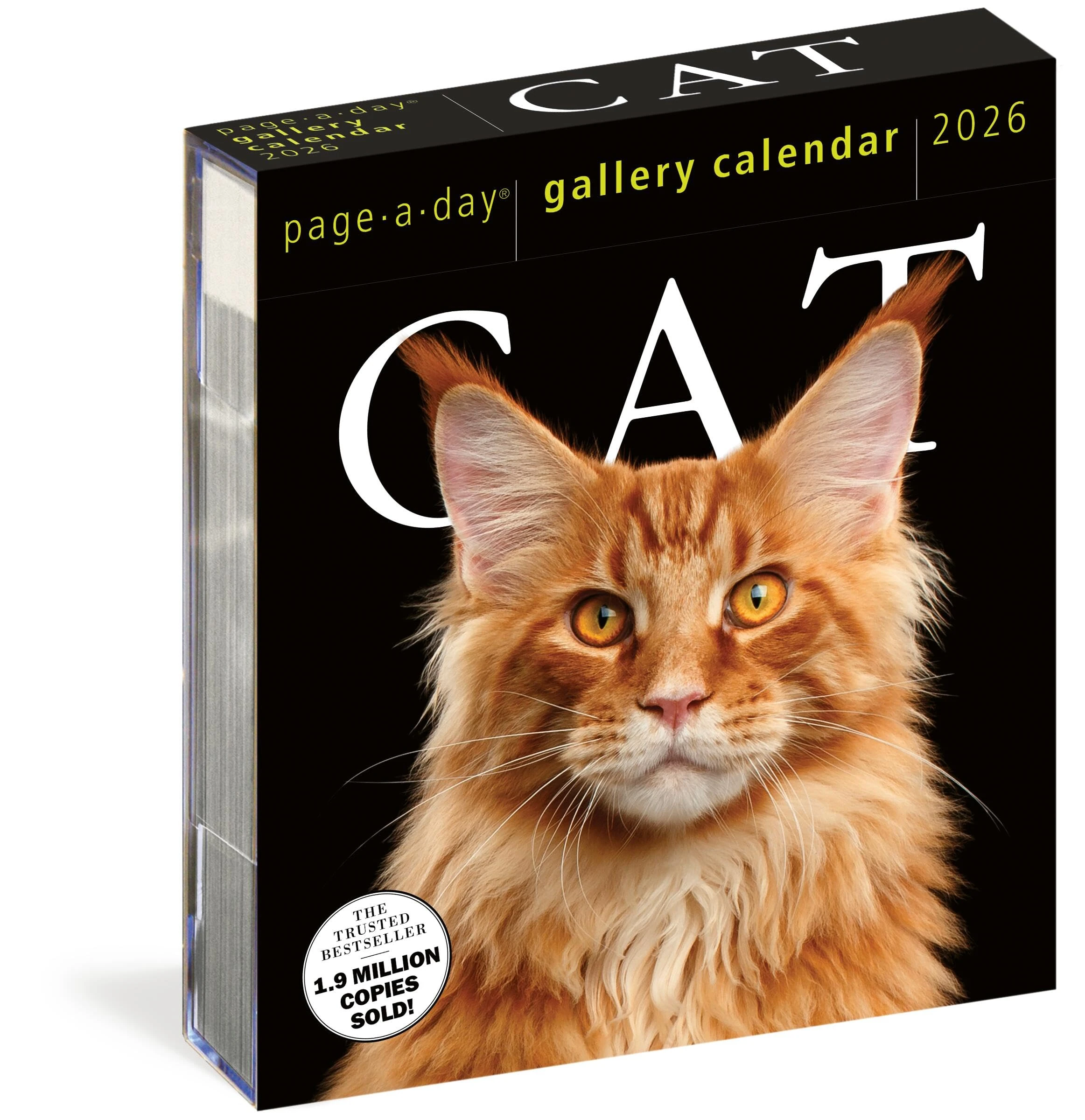 Cat Page-A-Day® Gallery Calendar 2026: A Delightful Gallery of Cats for Your Desktop