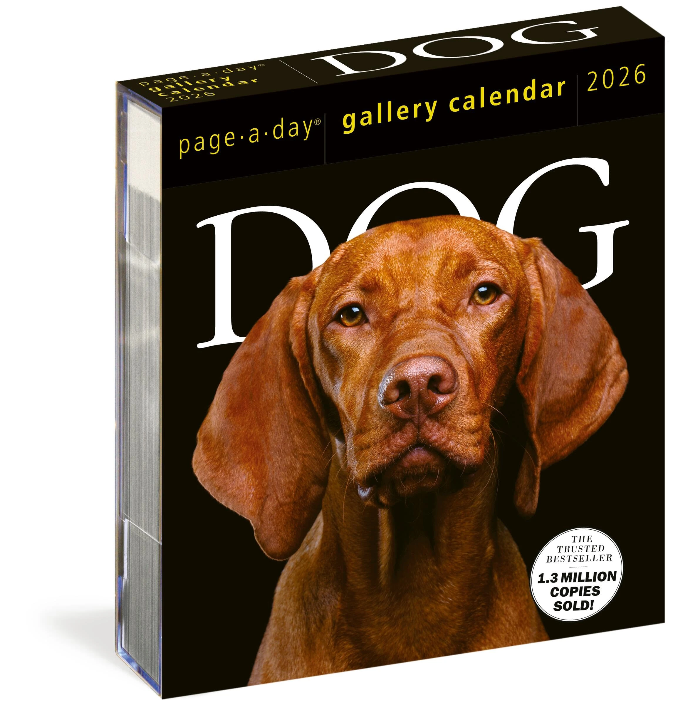 Dog Page-A-Day® Gallery Calendar 2026: An Elegant Canine Celebration