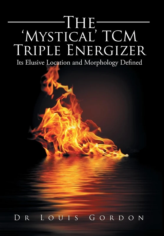 The 'Mystical' TCM Triple Energizer: Its Elusive Location and Morphology Defined - Image 1