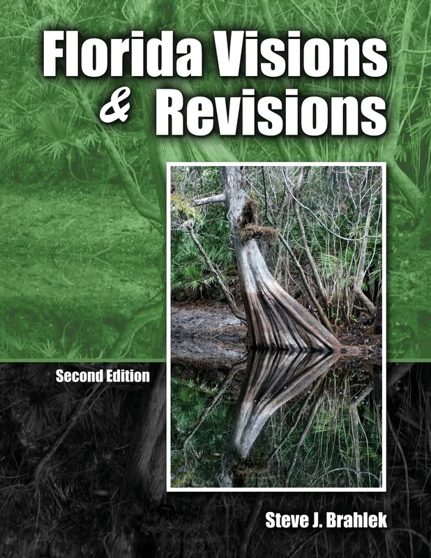 Florida Visions and Revisions