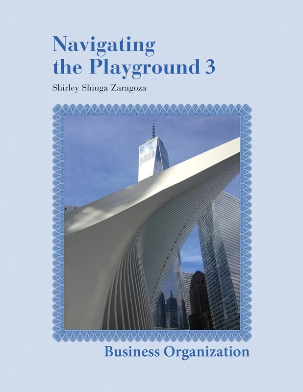 Navigating the Playground 3: Business Organization
