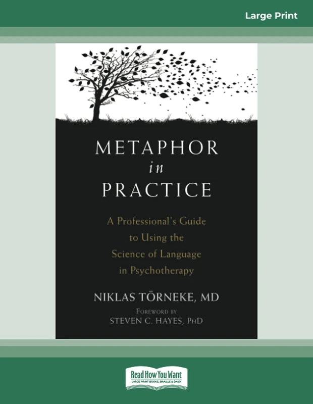 Metaphor in Practice: A Professional's Guide to Using the Science of Language in Psychotherapy