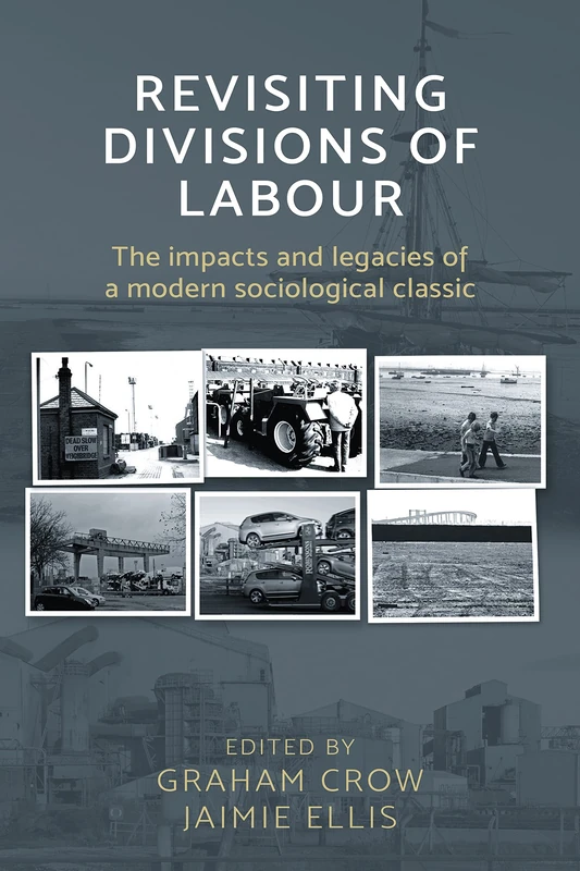 Revisiting Divisions of Labour: The Impacts and Legacies of a Modern Sociological Classic - Image 1