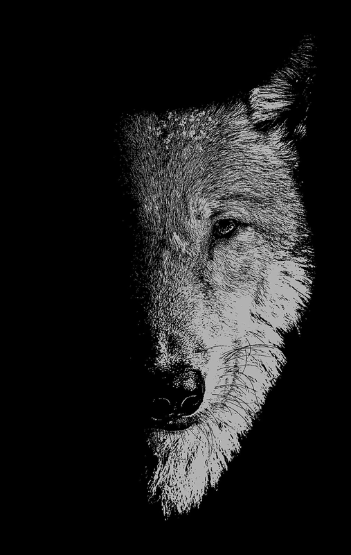 In the Company of Wolves: Werewolves, Wolves and Wild Children