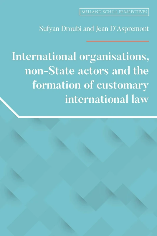 International Organisations, Non-State Actors, and the Formation of Customary International Law (Melland Schill Perspectives on International Law)