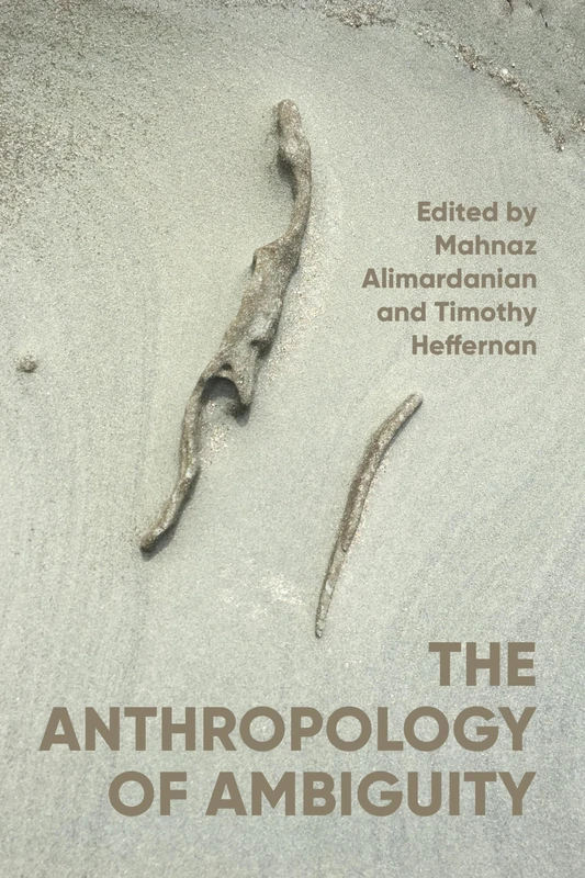 The Anthropology of Ambiguity: Theory, Praxis and Critique