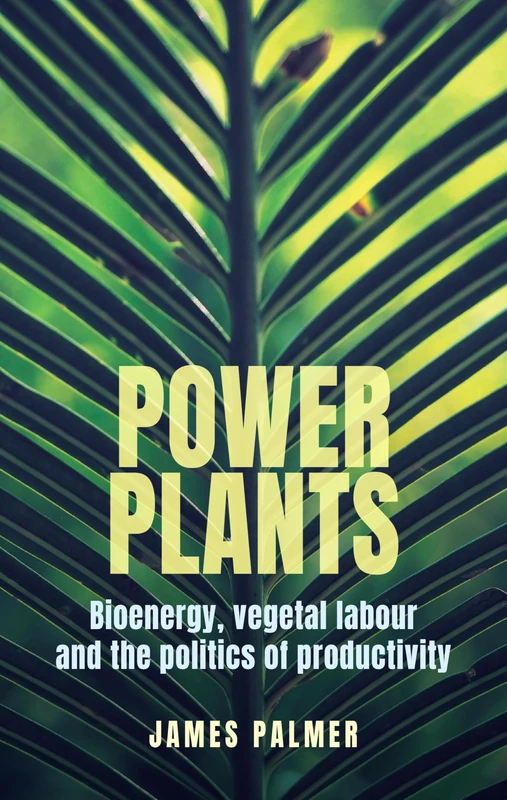 Power plants: Bioenergy, vegetal labour and the politics of productivity