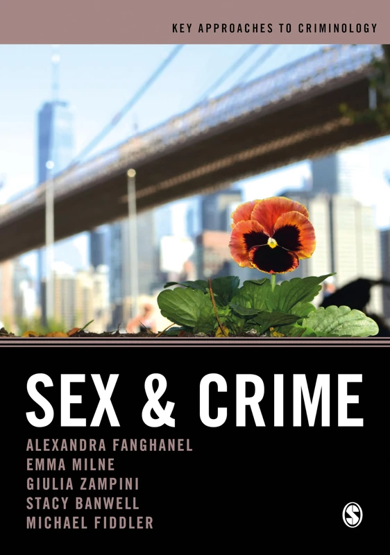 Sex and Crime (Key Approaches to Criminology)