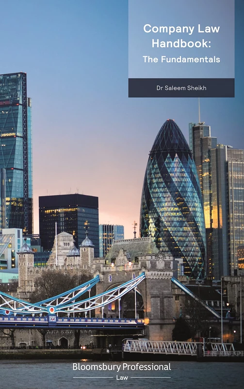 Company Law Handbook: the Fundamentals (Directors' Handbook Series)