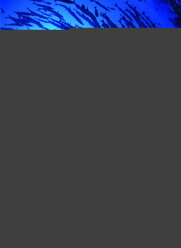 Corporate Finance, 4e