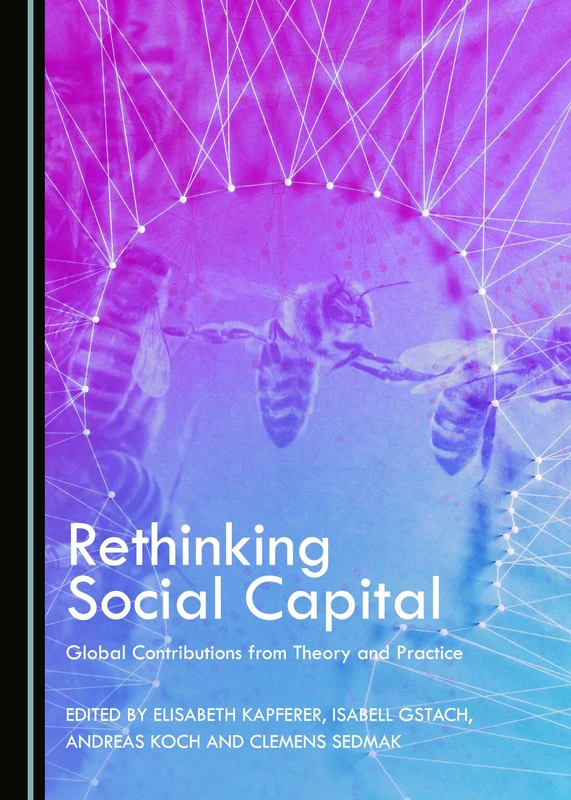 Rethinking Social Capital: Global Contributions from Theory and Practice