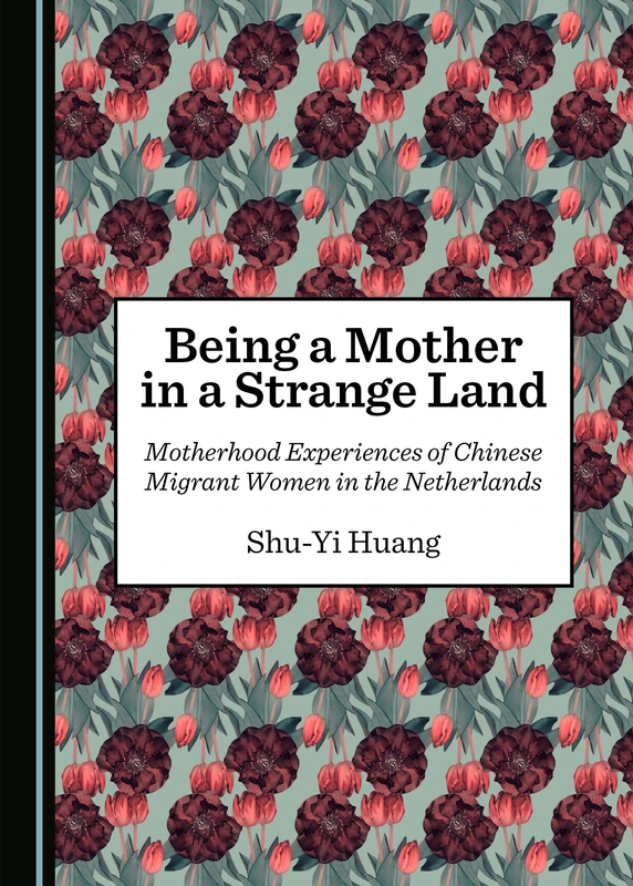 Being a Mother in a Strange Land: Motherhood Experiences of Chinese Migrant Women in the Netherlands - Image 1