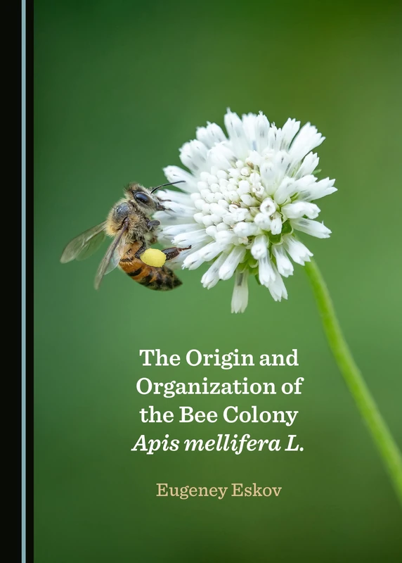 The Origin and Organization of the Bee Colony Apis mellifera L. - Image 1