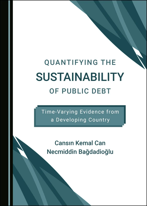 Quantifying the Sustainability of Public Debt: Time-Varying Evidence from a Developing Country
