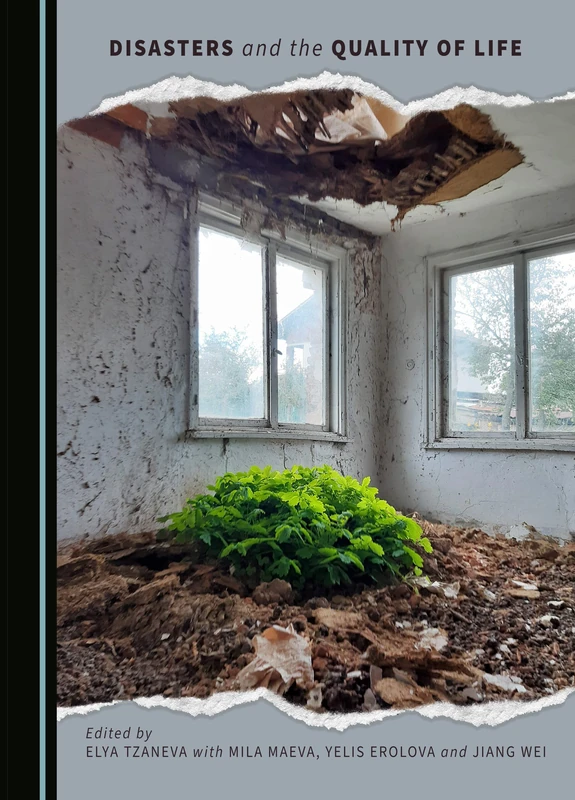 Disasters and the Quality of Life
